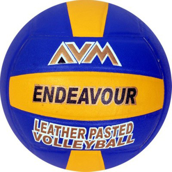 AVM Endaveour Volleyball